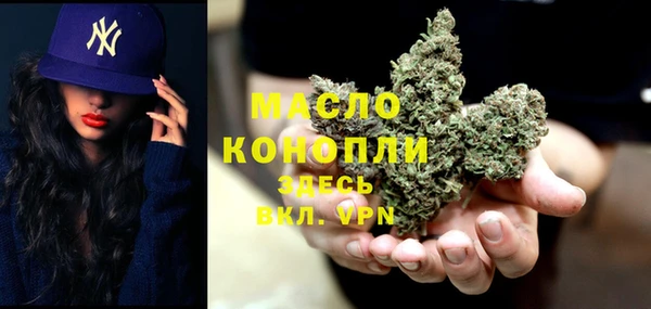индика Сафоново