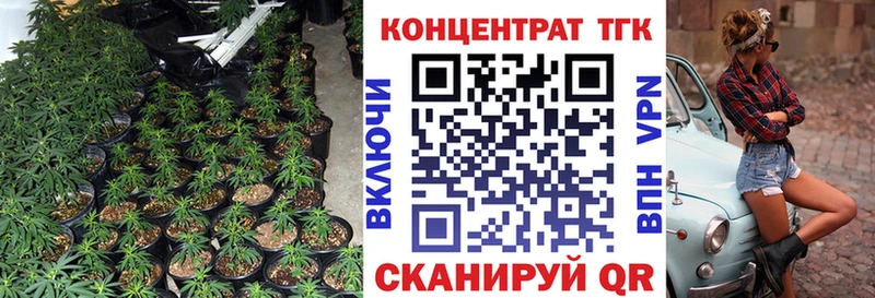 ТГК THC oil  Нижнеудинск 