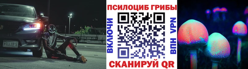 что такое   Нижнеудинск  darknet официальный сайт  Псилоцибиновые грибы GOLDEN TEACHER 