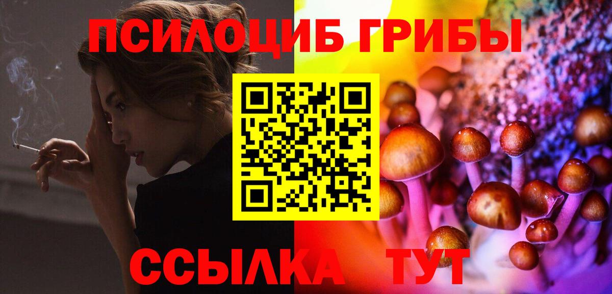 Псилоцибиновые грибы Cubensis  Вход с VPN  Нижнеудинск 